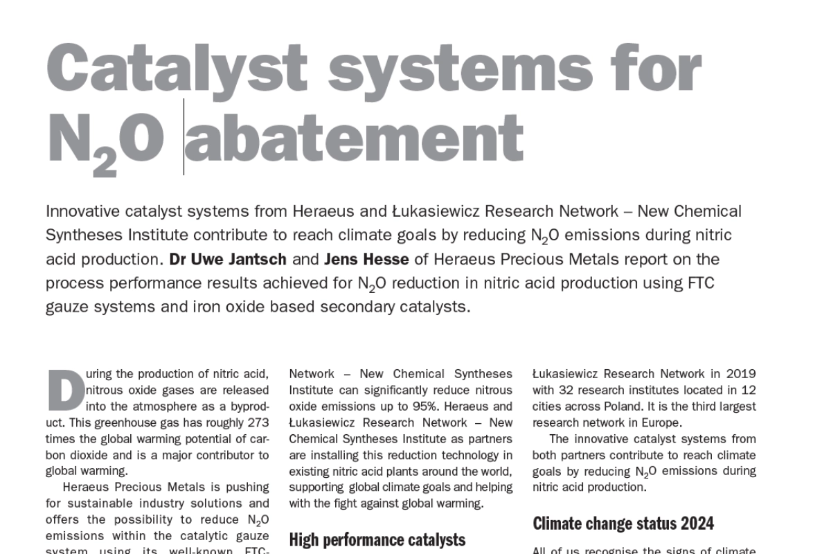 Catalyst Systems for N2O Abatement