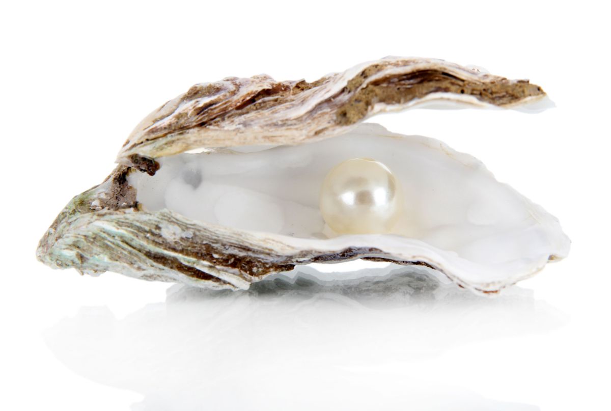 Oyster with a pearl