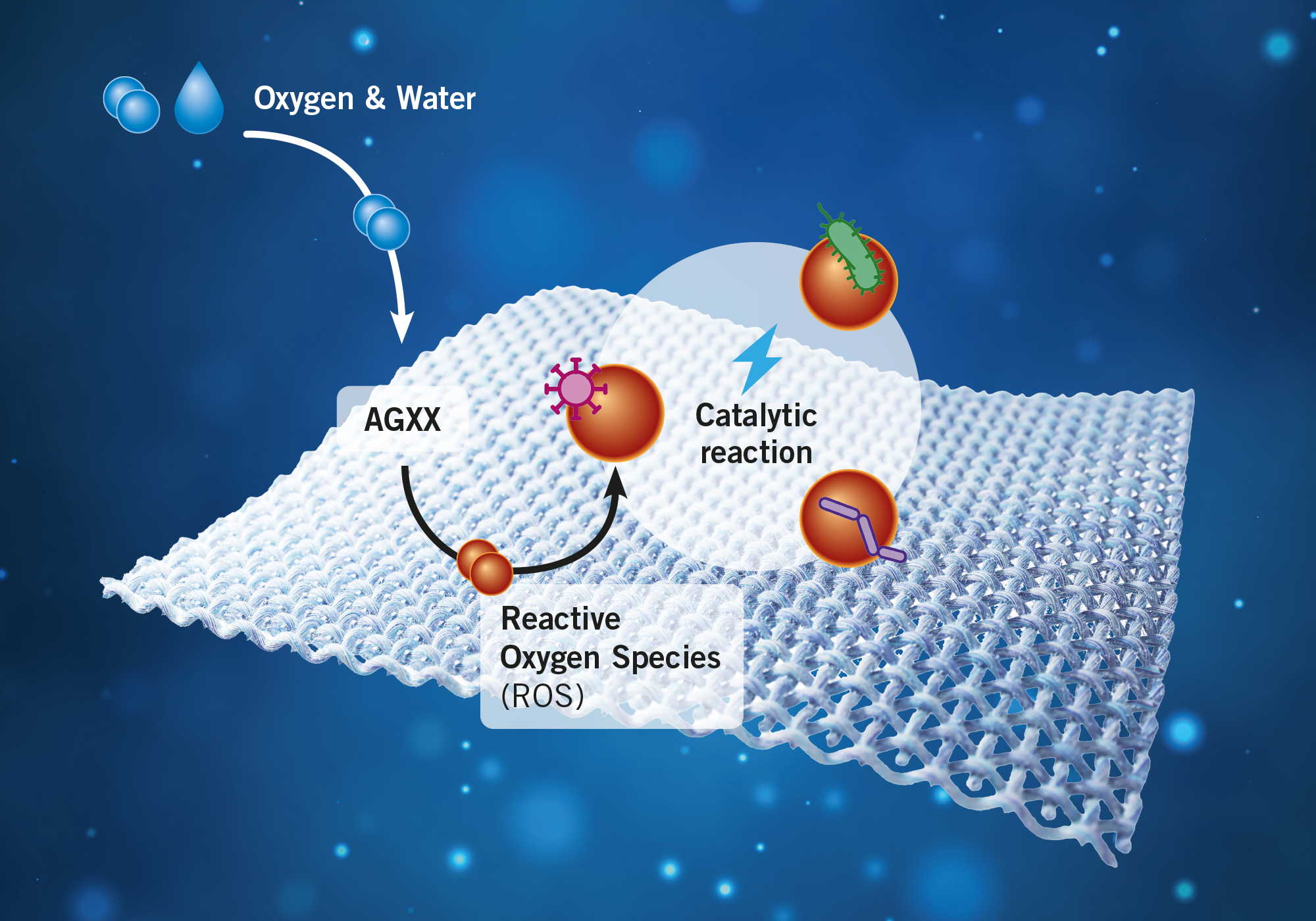 Mechanism of action of AGXX