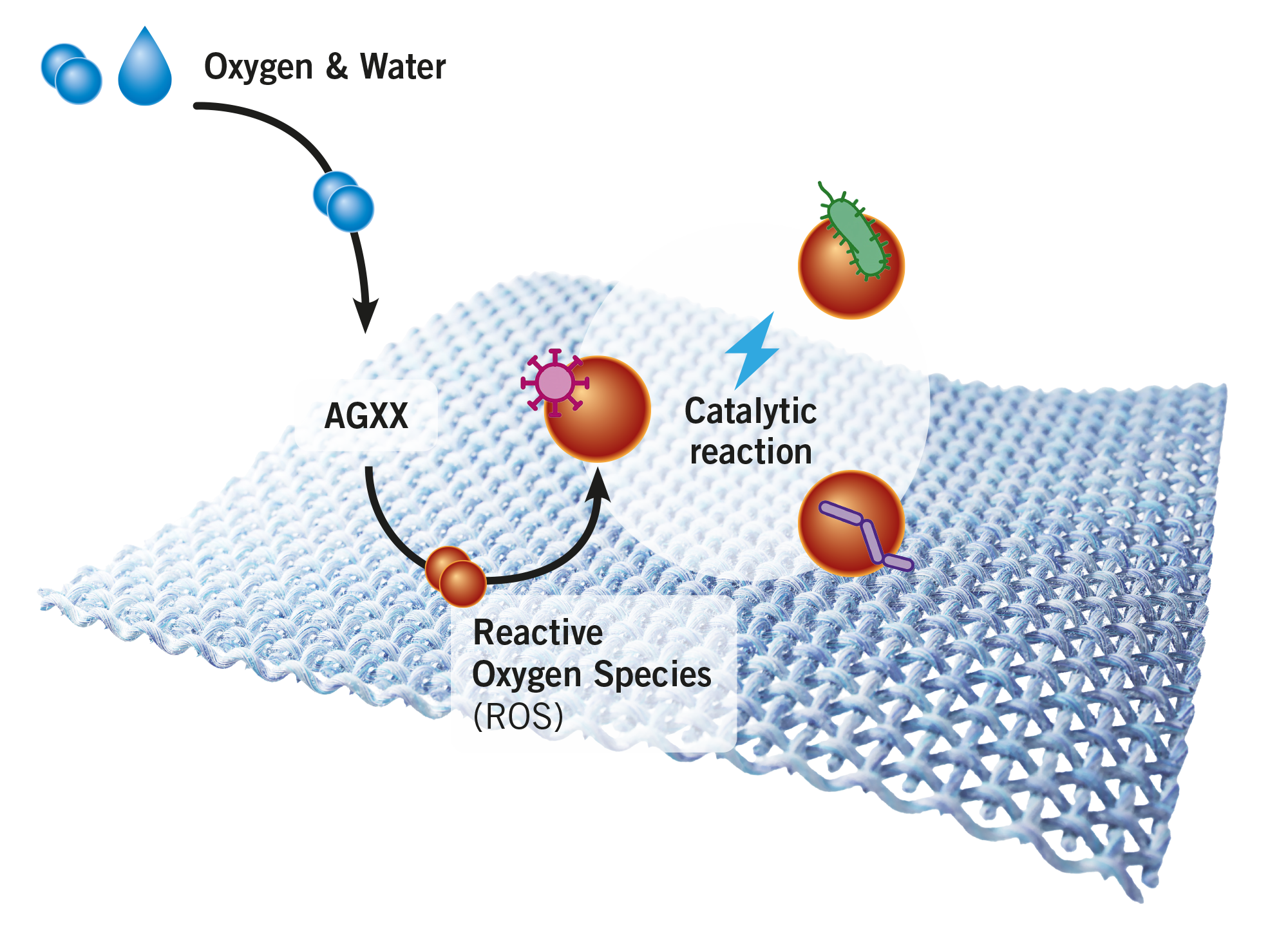 Catalytic Reaction Diagram
