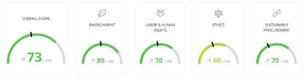 ecovadis Score